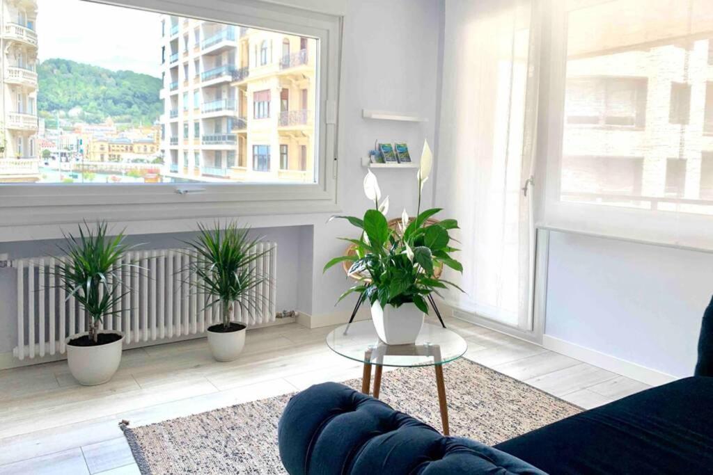 סן סבסטיאן New Gorgeous Central Apartment - Beachfront - 3 Bd מראה חיצוני תמונה